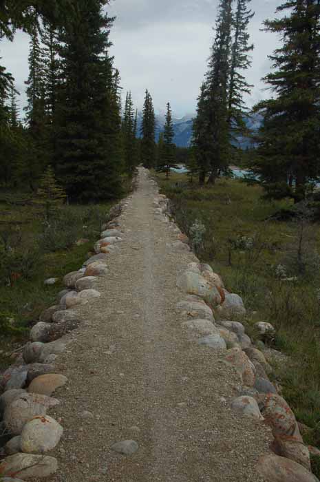 The Athabasca River, Jasper